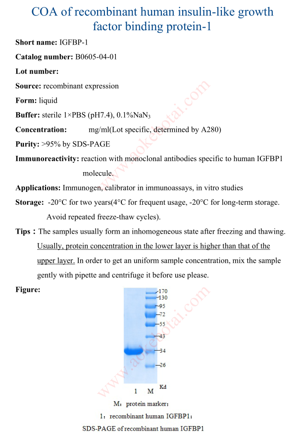 B0605-04-01.png