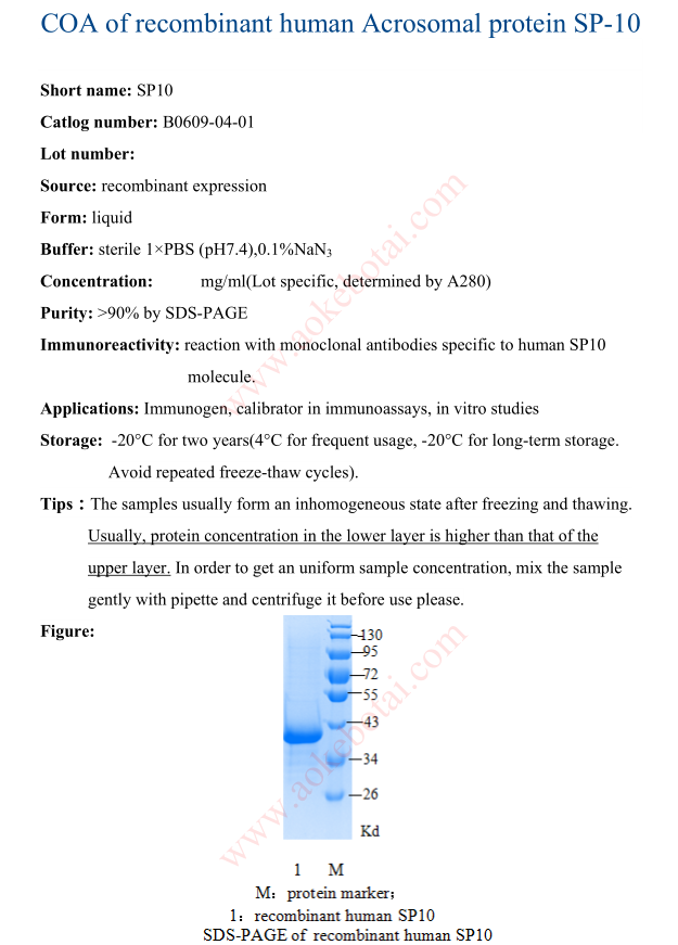 B0609-04-01.png