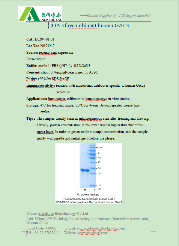 B0204-01-01.png