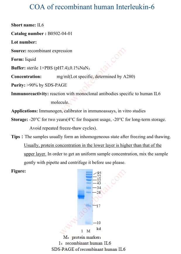 B0502-04-01.png
